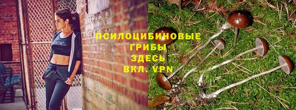 первитин Лабытнанги